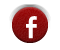 Facebook follow us on facebook